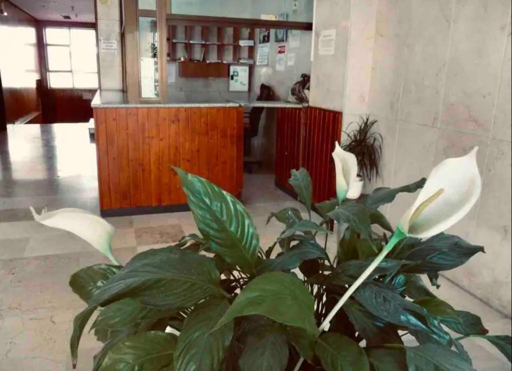 Apartamento La Posada Del Viajero Torremolinos Exterior foto